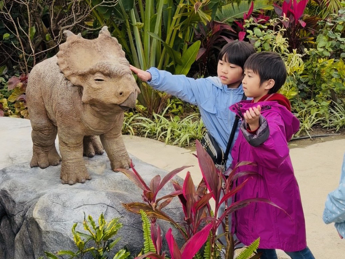 名護周辺の景色やお店